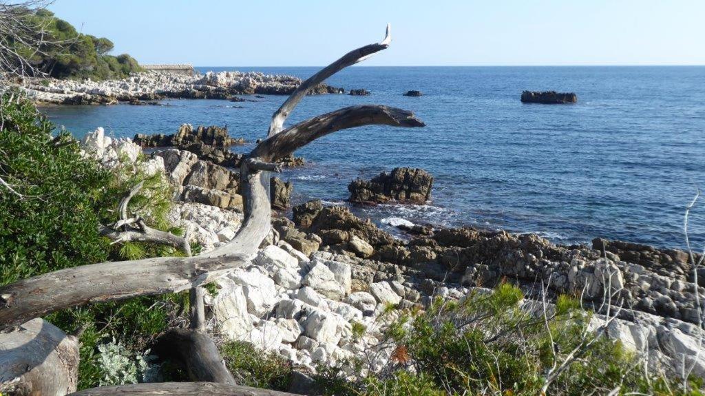 Yuca Διαμέρισμα Vallauris Εξωτερικό φωτογραφία
